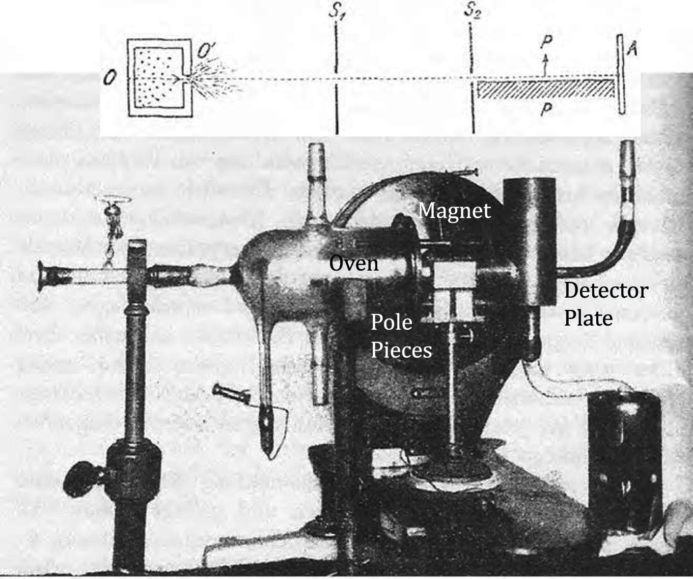 Apparatus used for the Stern-Gerlach experiment in 1922, equipped with modifications made a few years later. The schematic shows a silver beam emerging from an oven (O) and passing through a pinhole (S1) and a rectangular slit (S2). It then enters a magnetic field, whose direction is indicated by the arrow between the two pole pieces (P), and finally reaches a detector plate (A).