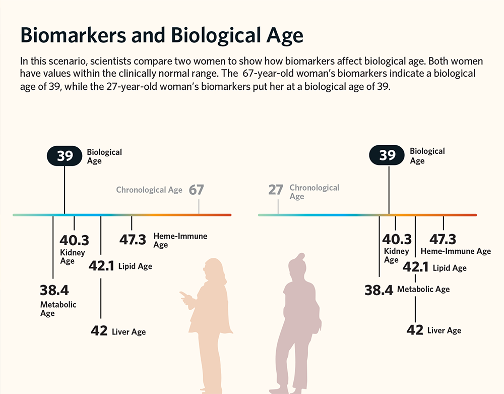 Biomakers and biological age graphic.