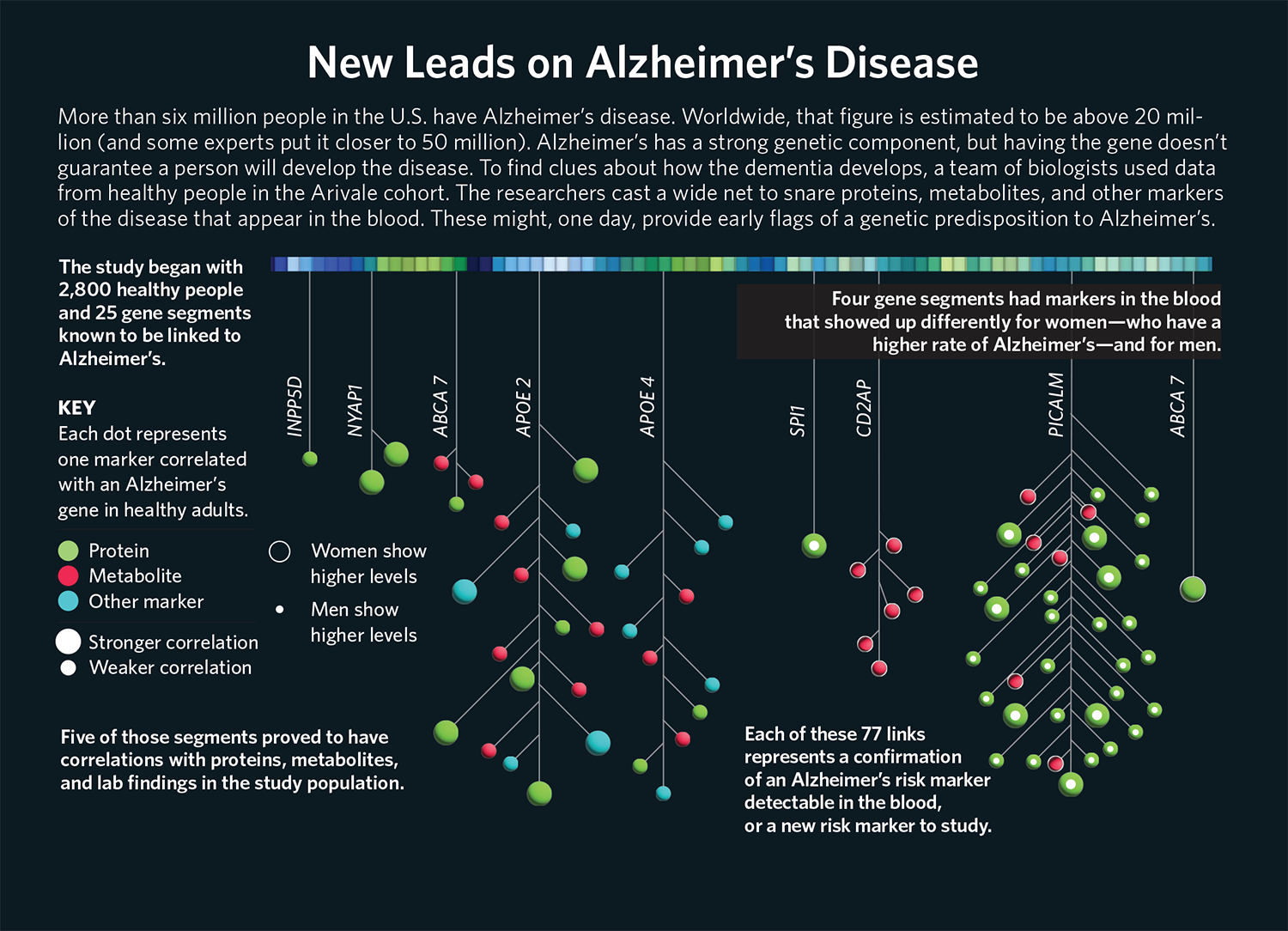 New Leads on Alzheimer’s Disease