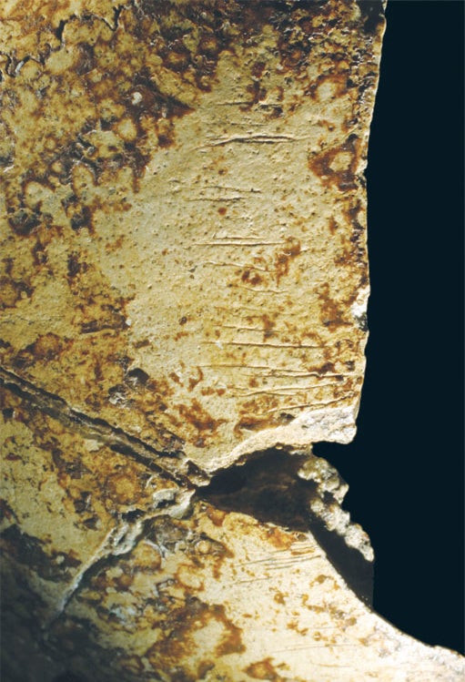 Cut marks on Neandertal cranium from Krapina.