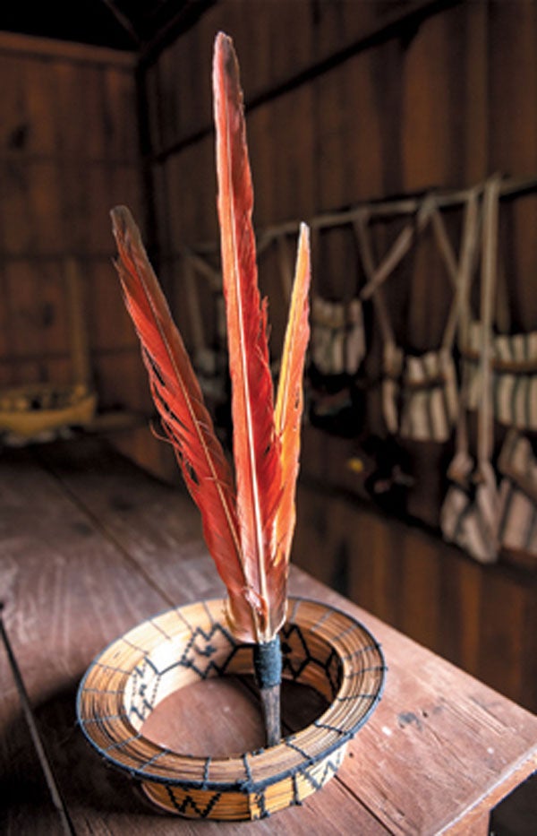 Macaw-feather headdress.