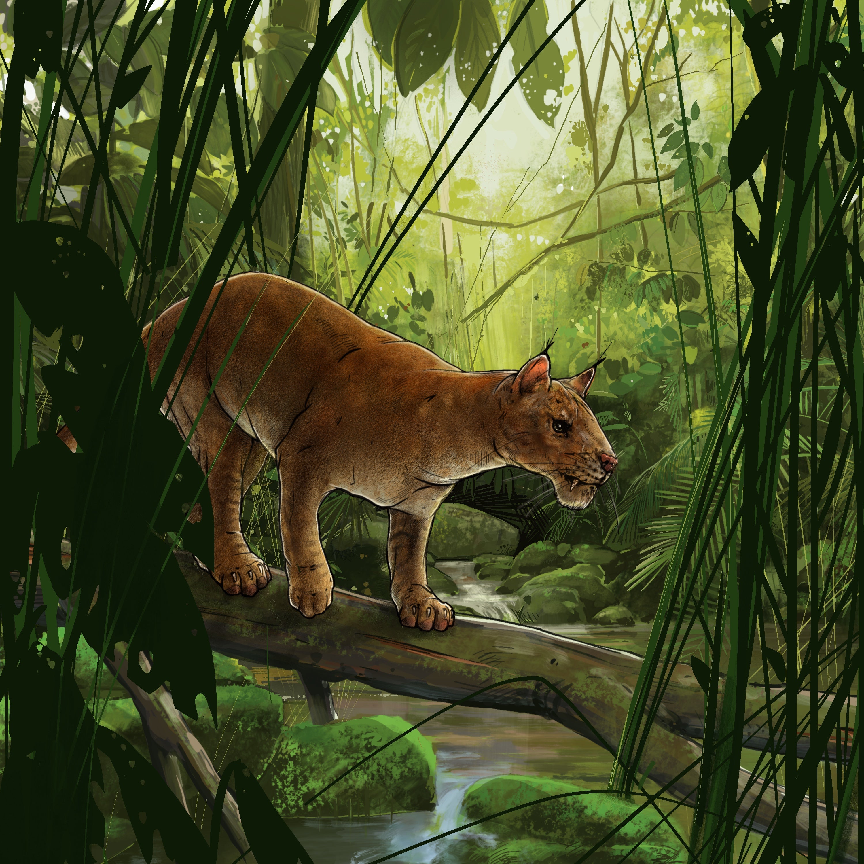 An artist’s rendering of the Diegoaelurus vanvalkenburghae, which lived around 42 million years ago.
