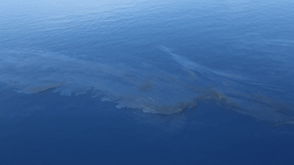 Oil slicks from a May 2016 pipeline leak in the Northern Gulf of Mexico. 