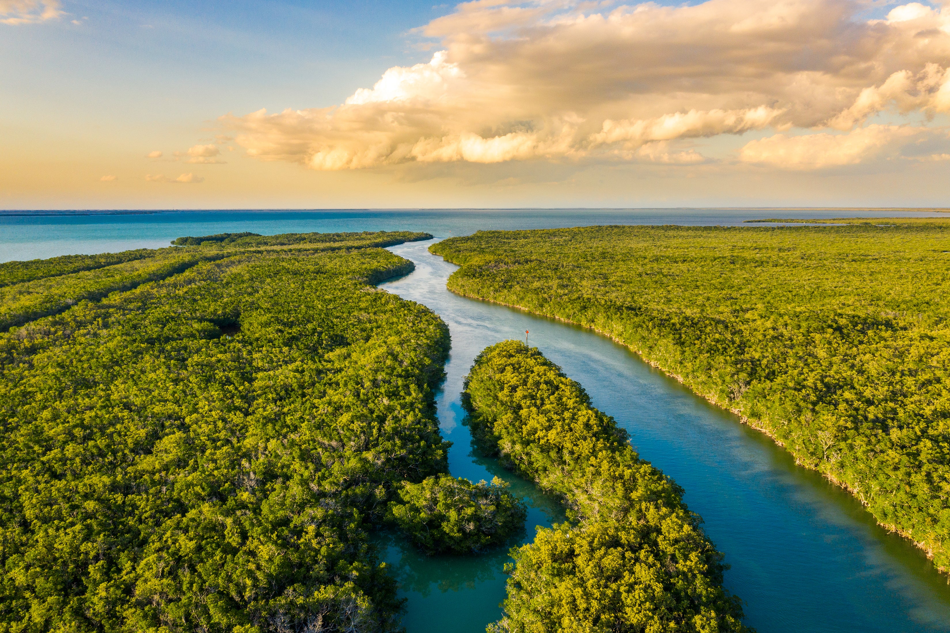 Parc national des Everglades.