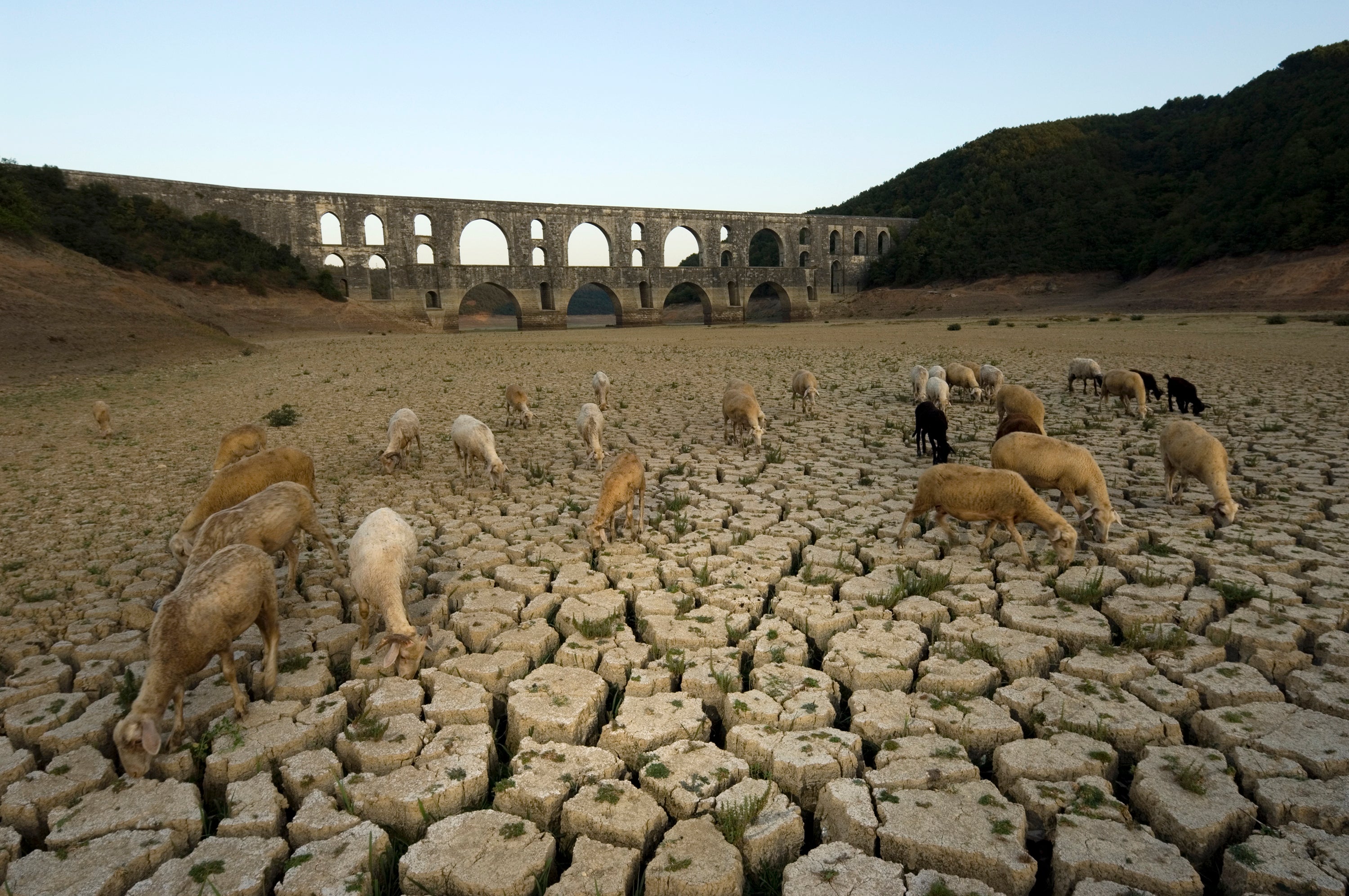 Flash drought parches the earth by the Maglova Aqueduct in Turkey. 