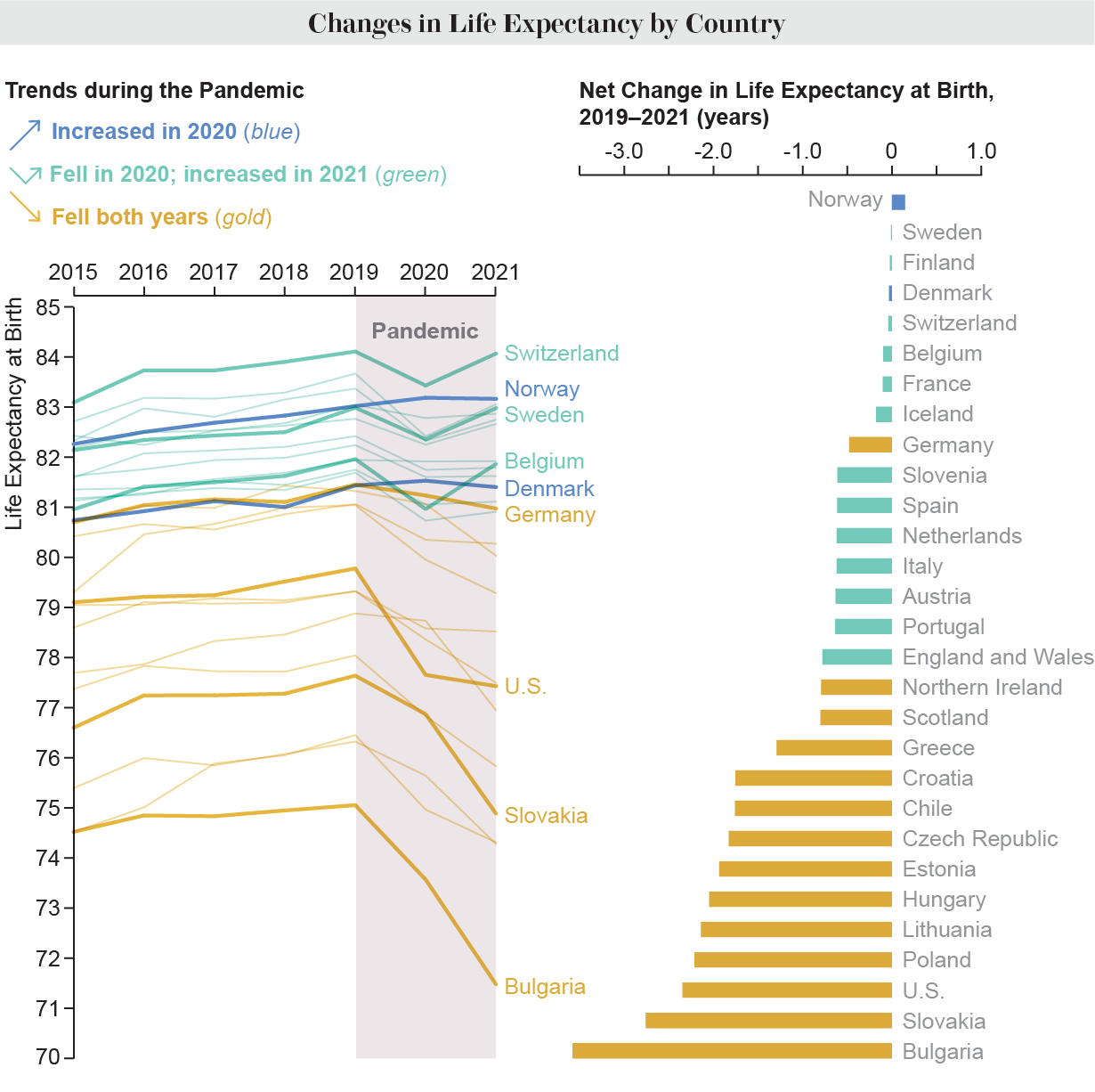 Grafikler, 2015'ten bu yana doğumda beklenen yaşam süresini ve bunun 29 ülke veya bölgede pandemi sırasında nasıl değiştiğini gösteriyor.