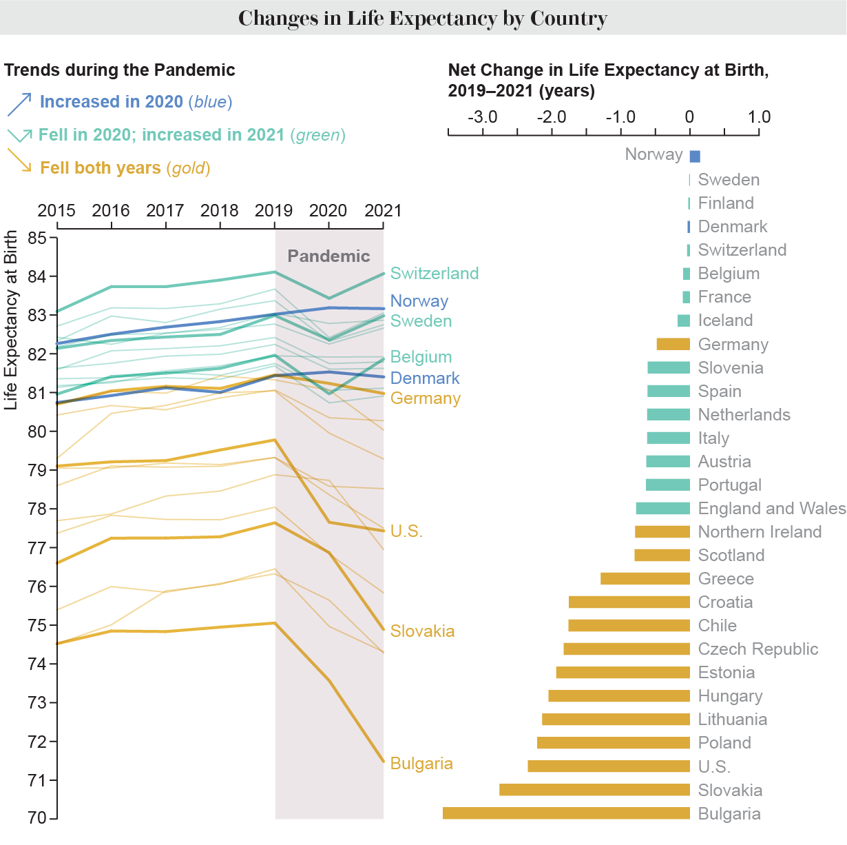 Changes in Life Expectancy by Country during the Pandemic : r/Infographics