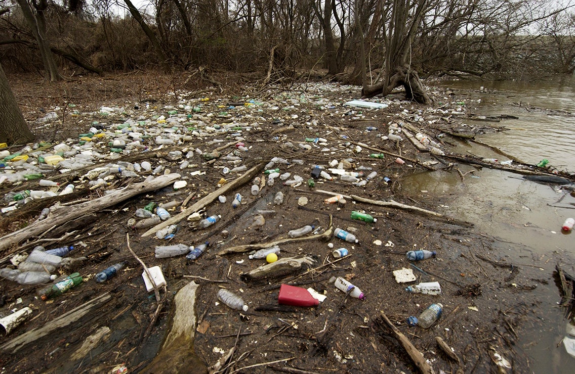 Soda bottles fill the shoreline of Oxon Cove along the Potomac River. 