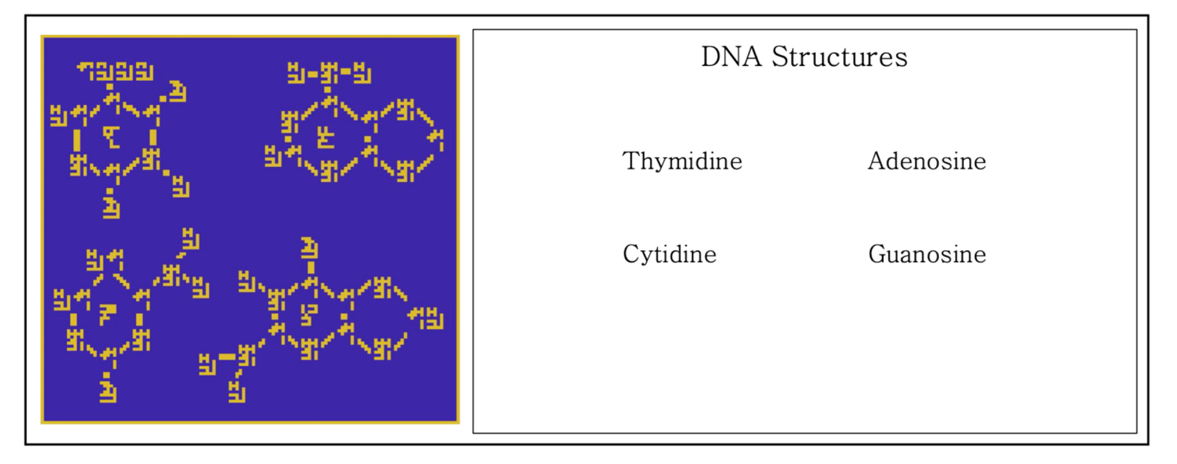 DNA structures.