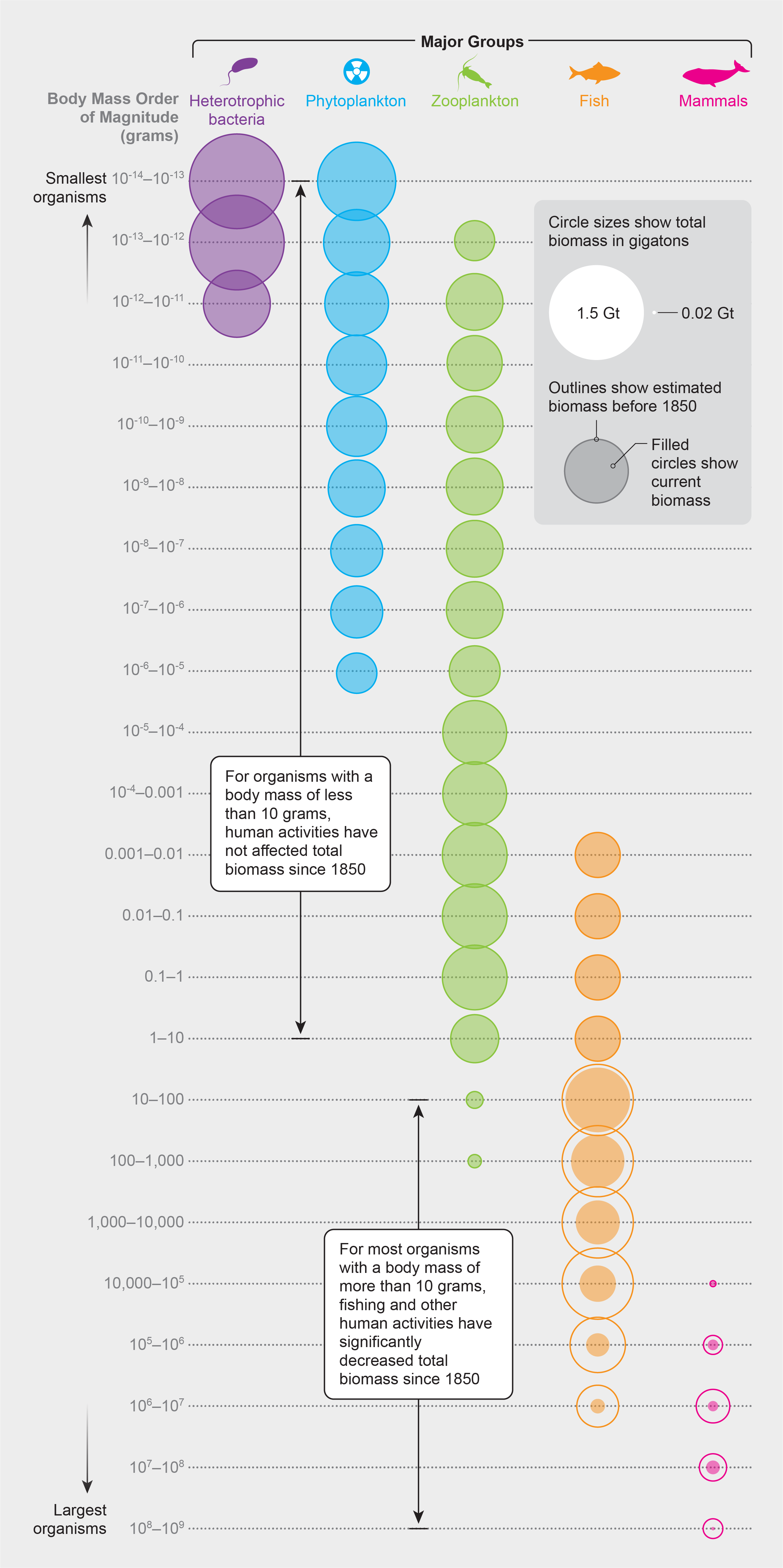 Graphic shows total biomass of organisms in the sea, by major group and body mass order of magnitude, before 1850 and now.