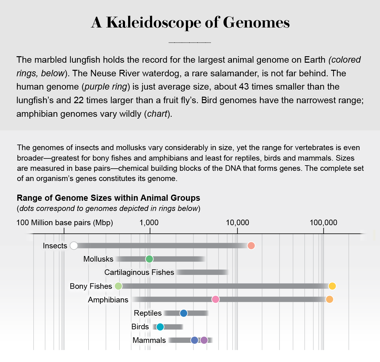 Chart shows range of genome sizes within animal groups. Ranges for insects, bony fishes and amphibians are largest.