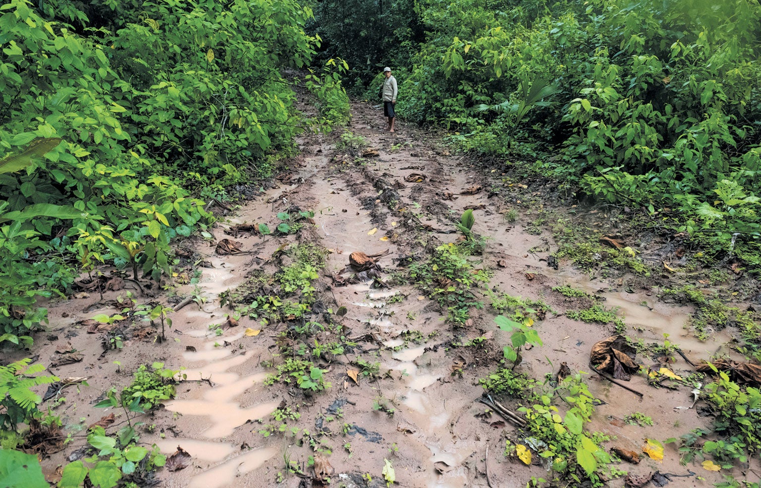 Logging road.