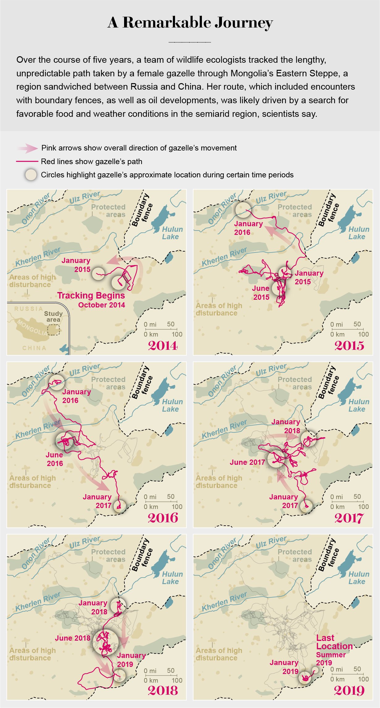 Maps show gazelle’s path of movement through eastern Mongolia from the start of tracking in 2014 until her death in 2019.