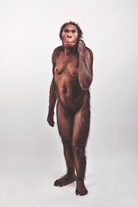 Australopithecus sediba.