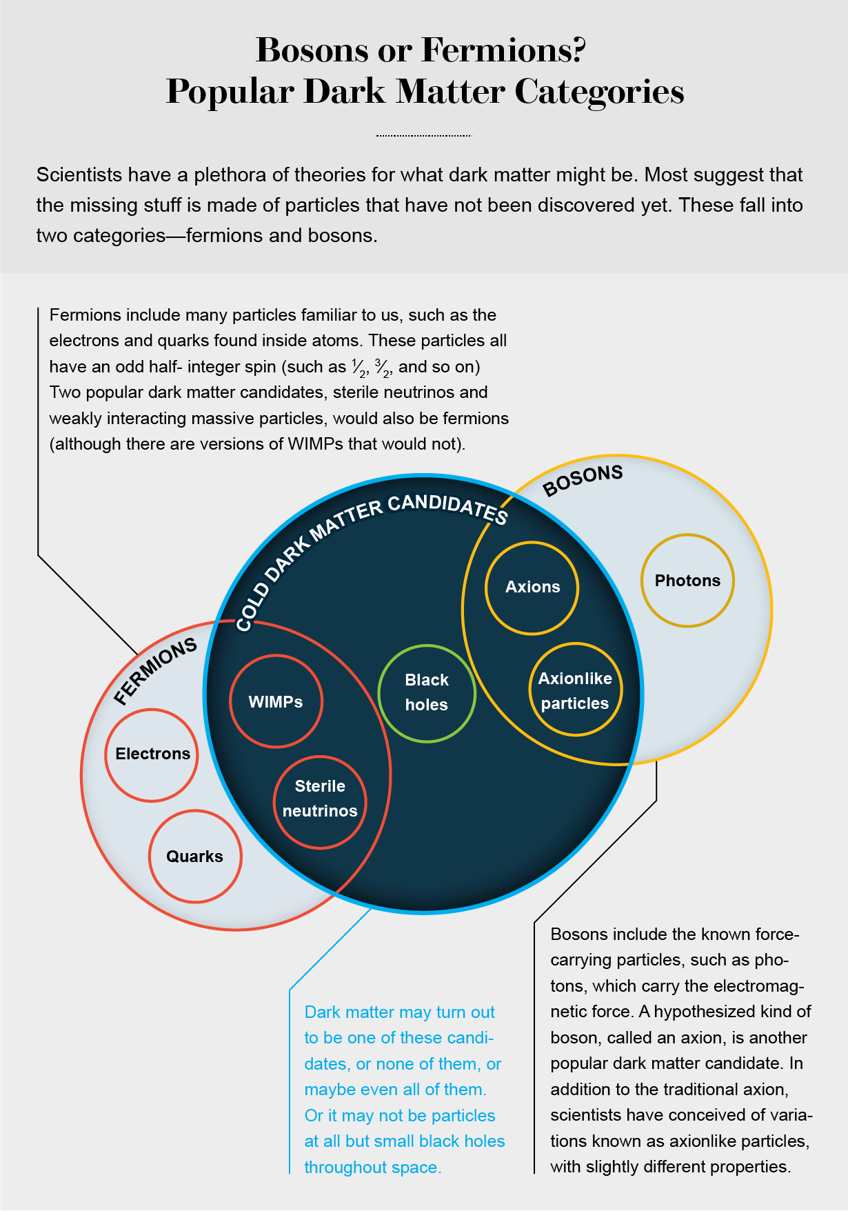 Venn diagram lists some types of fermions and bosons and shows which ones are dark matter candidates along with black holes.