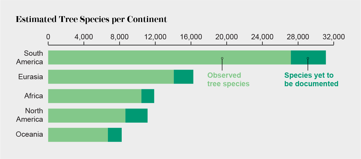 The number of tree species per continent.