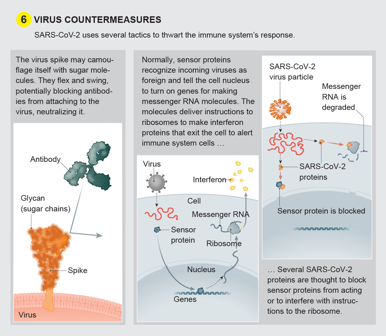 Virus countermeasures