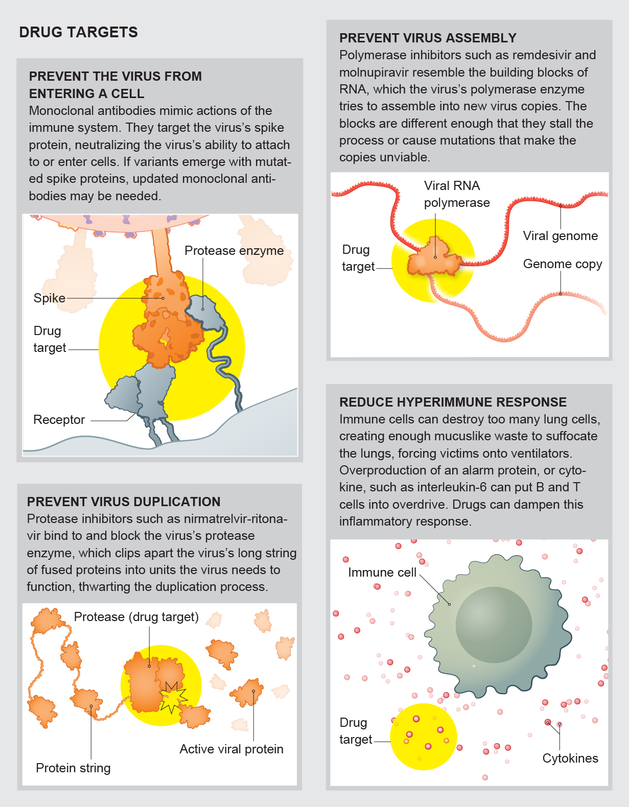 Illustrations show four ways that drugs may fight COVID-19