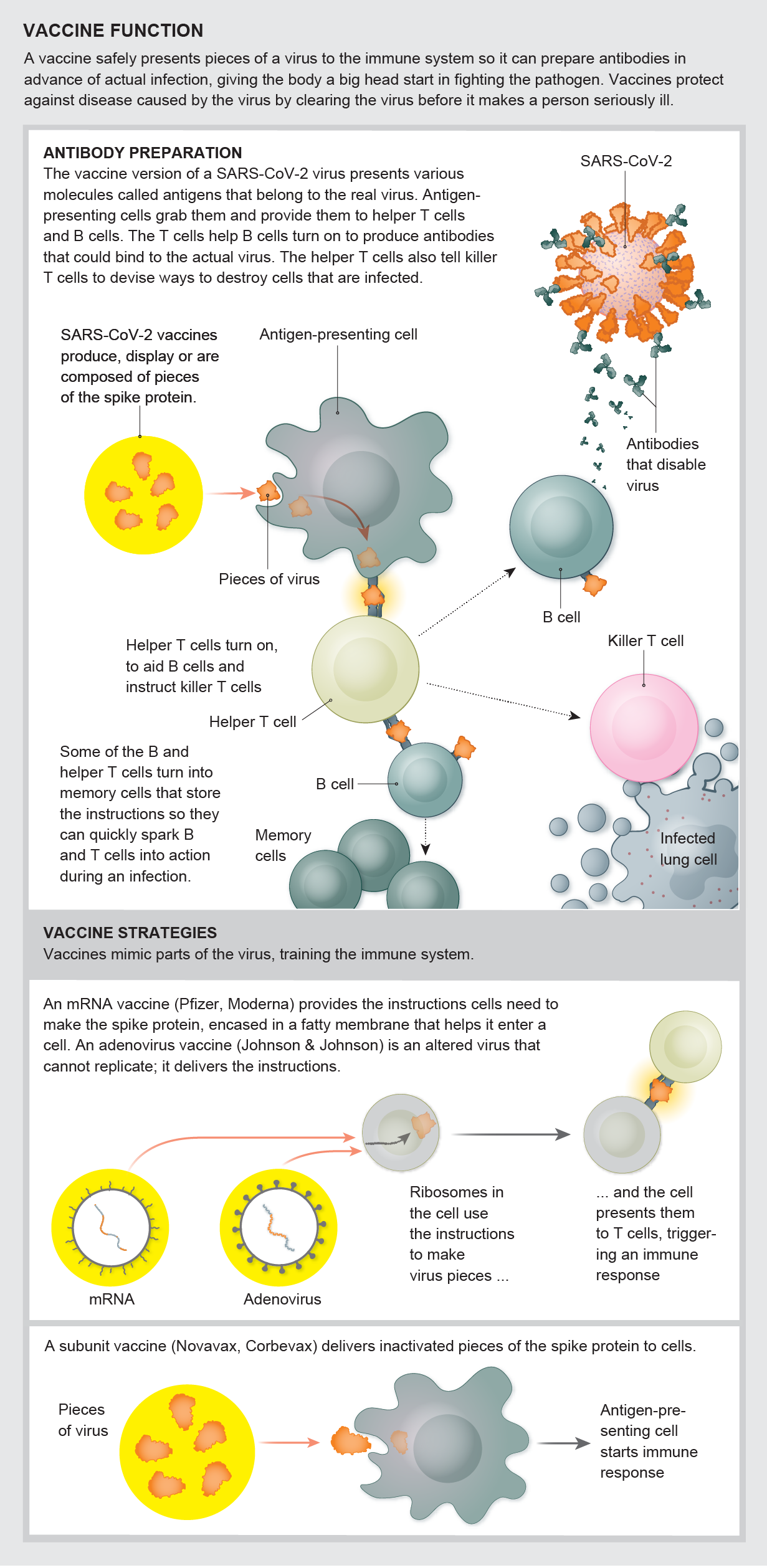 Illustrations show six strategies that vaccine makers are pursuing