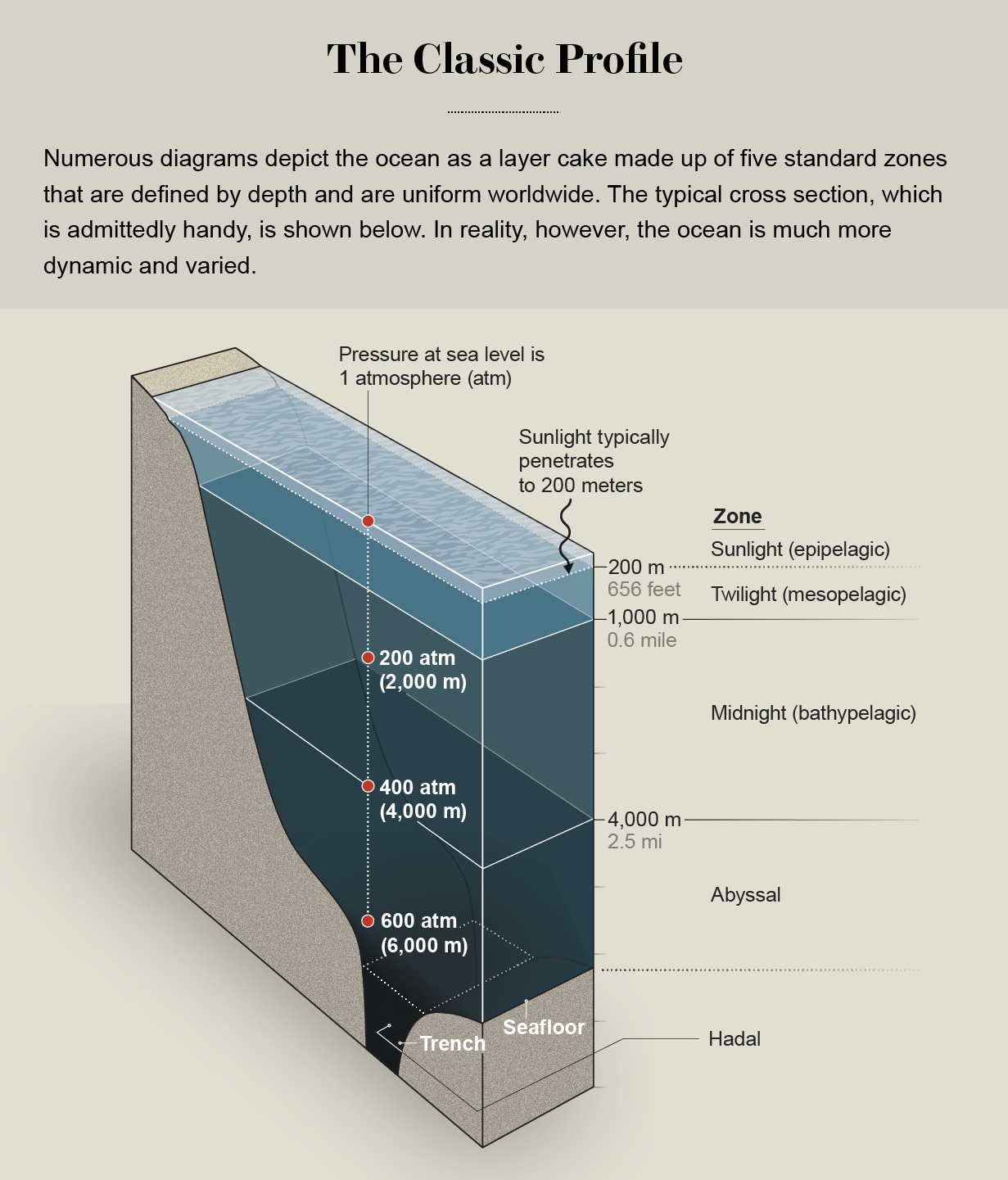 ocean zones diagram