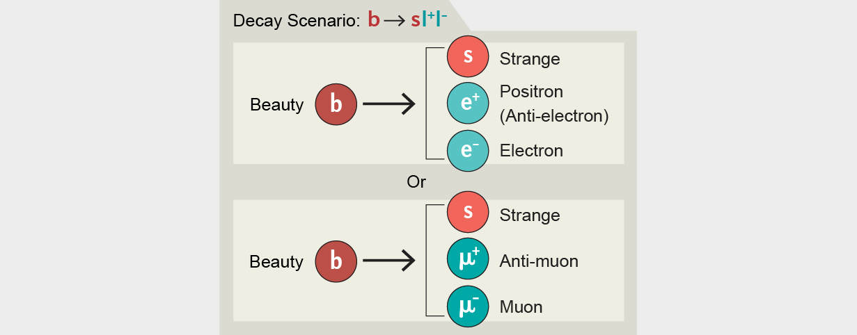 Beauty quark decays into strange quark + two leptons: either a positron + electron or an anti-muon + muon.