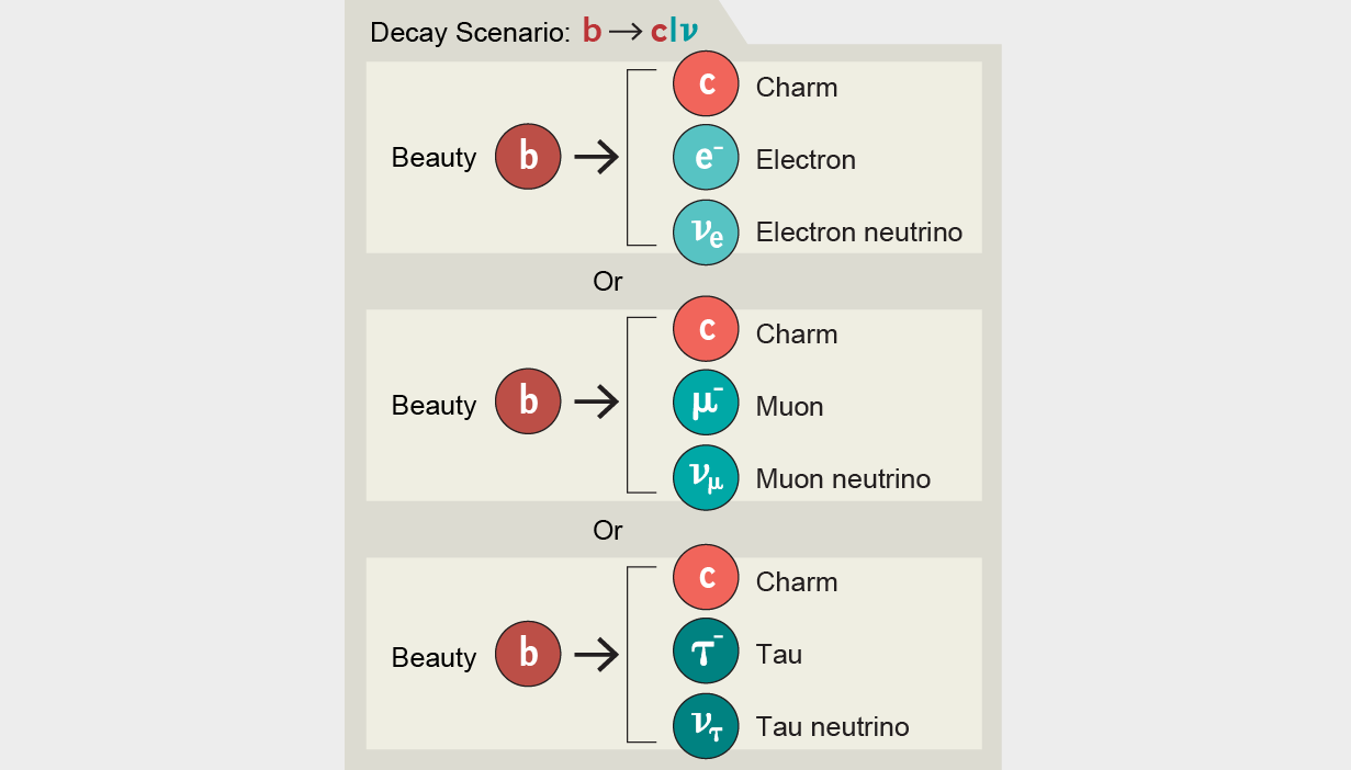 Beauty quark decays into charm quark + two leptons: electron + electron neutrino, muon + muon neutrino, or tau + tau neutrino.