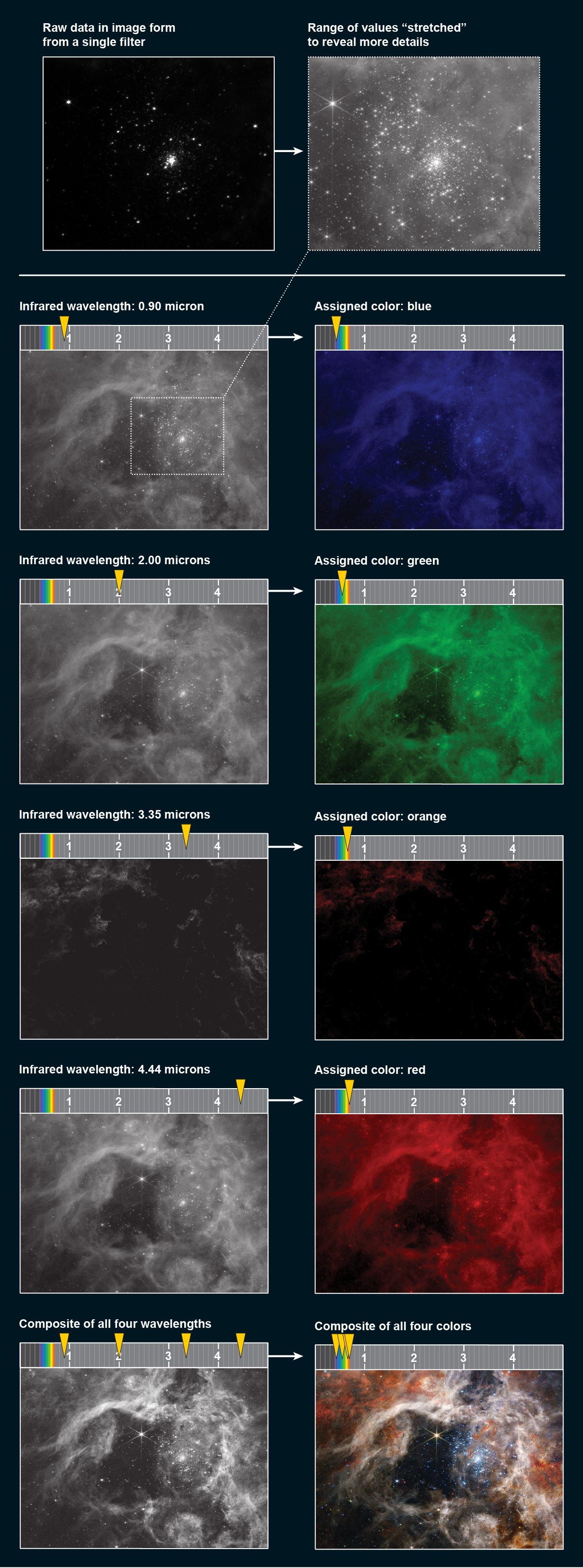 Data from 4 infrared filters are stretched and assigned blue, green, orange or red. The composite is a full-color nebula image.