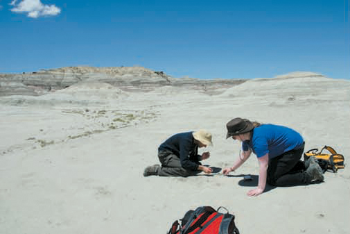 Two researchers working in the kimbeto wash in northwestern New Mexico.