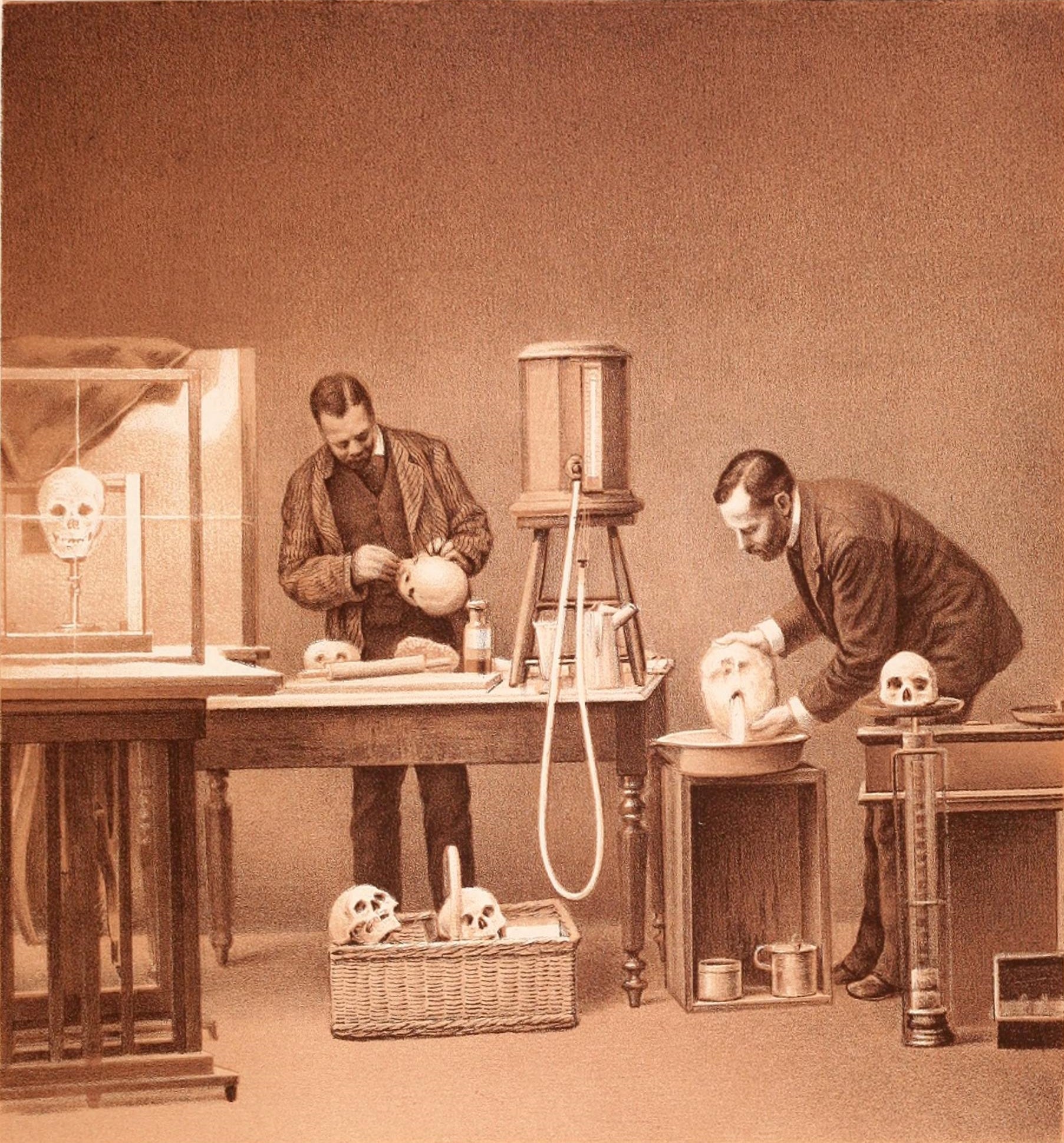 Photograph of 2 people measuring and working with skulls.