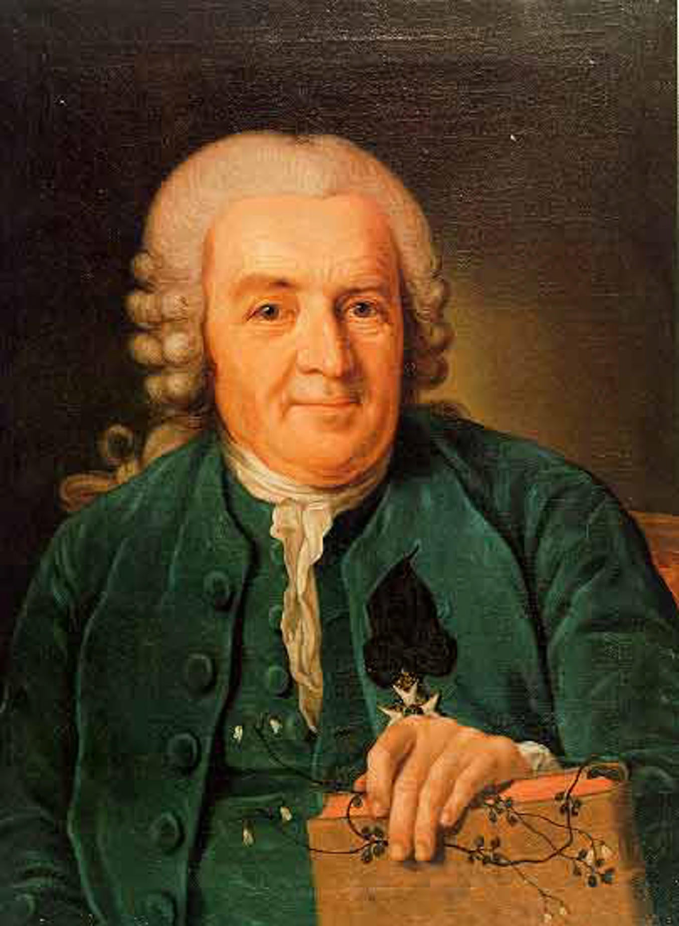 Carl Linnaeus portrait in green suit with book.