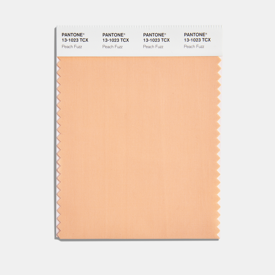 Pantone’s Color of the Year for 2024 is PANTONE 13-1023 Peach Fuzz