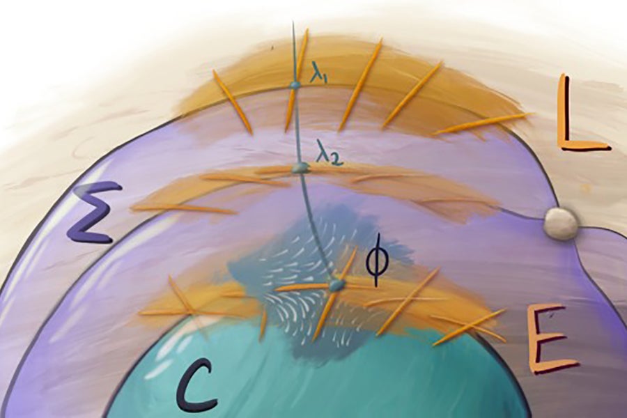 Purple, orange and green illustration showing abstract shapes and math symbols.