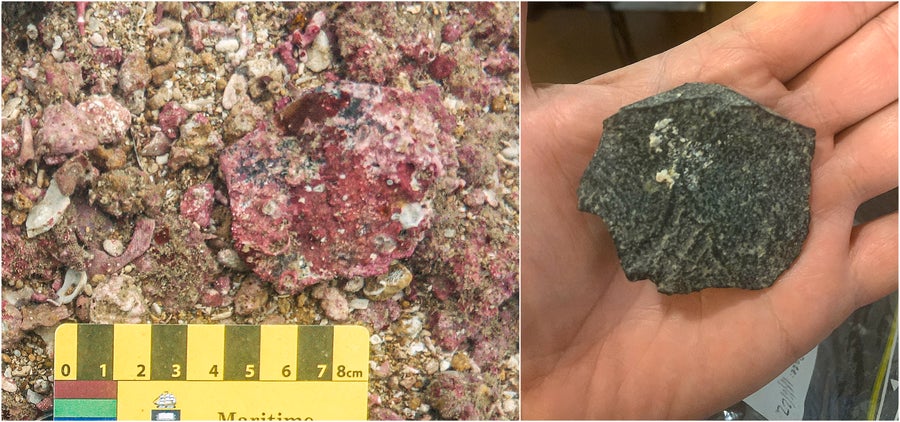 A lithic artifact found on the seabed (left) and immediately after an acid wash (right).