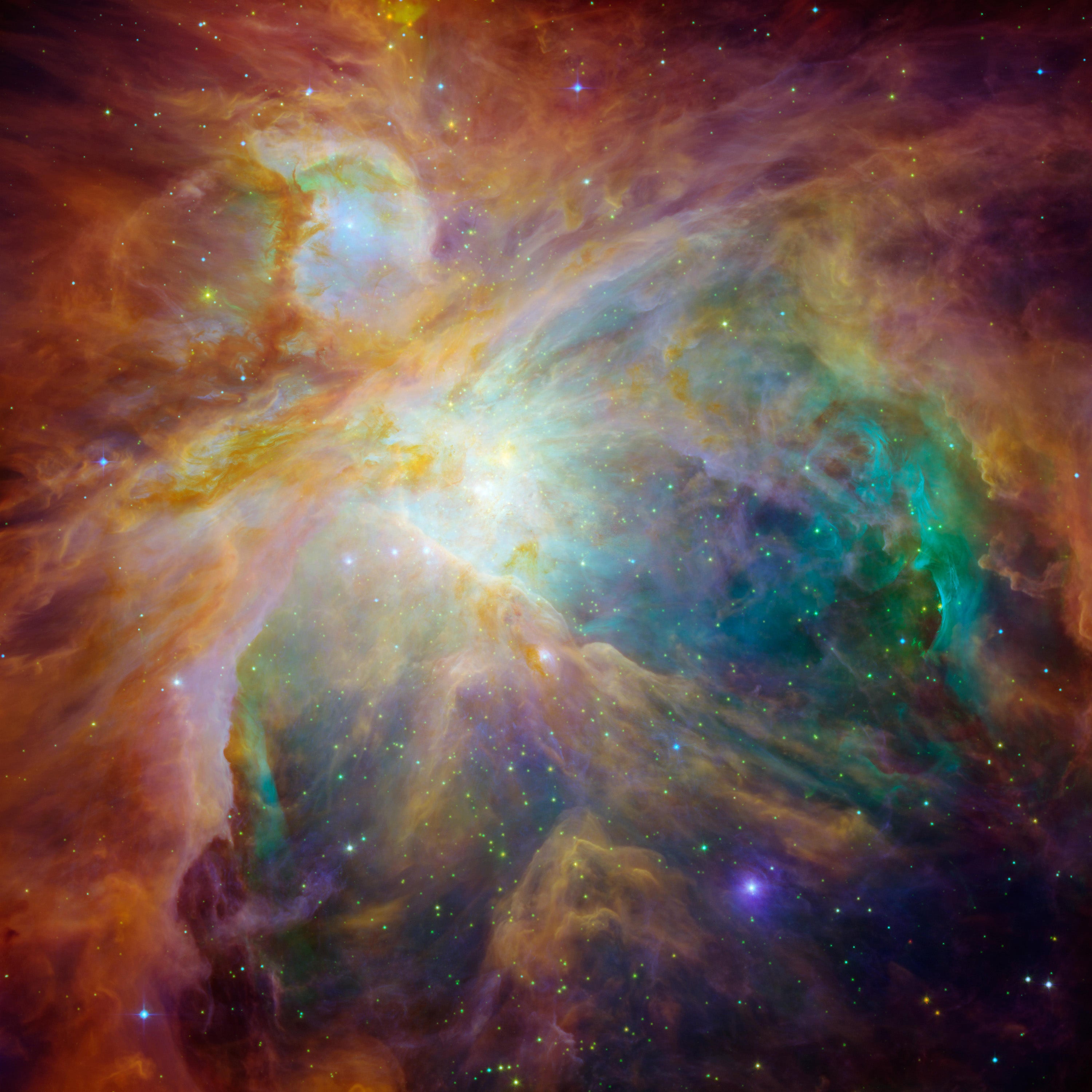 Nascent stars form in the Orion Nebula.