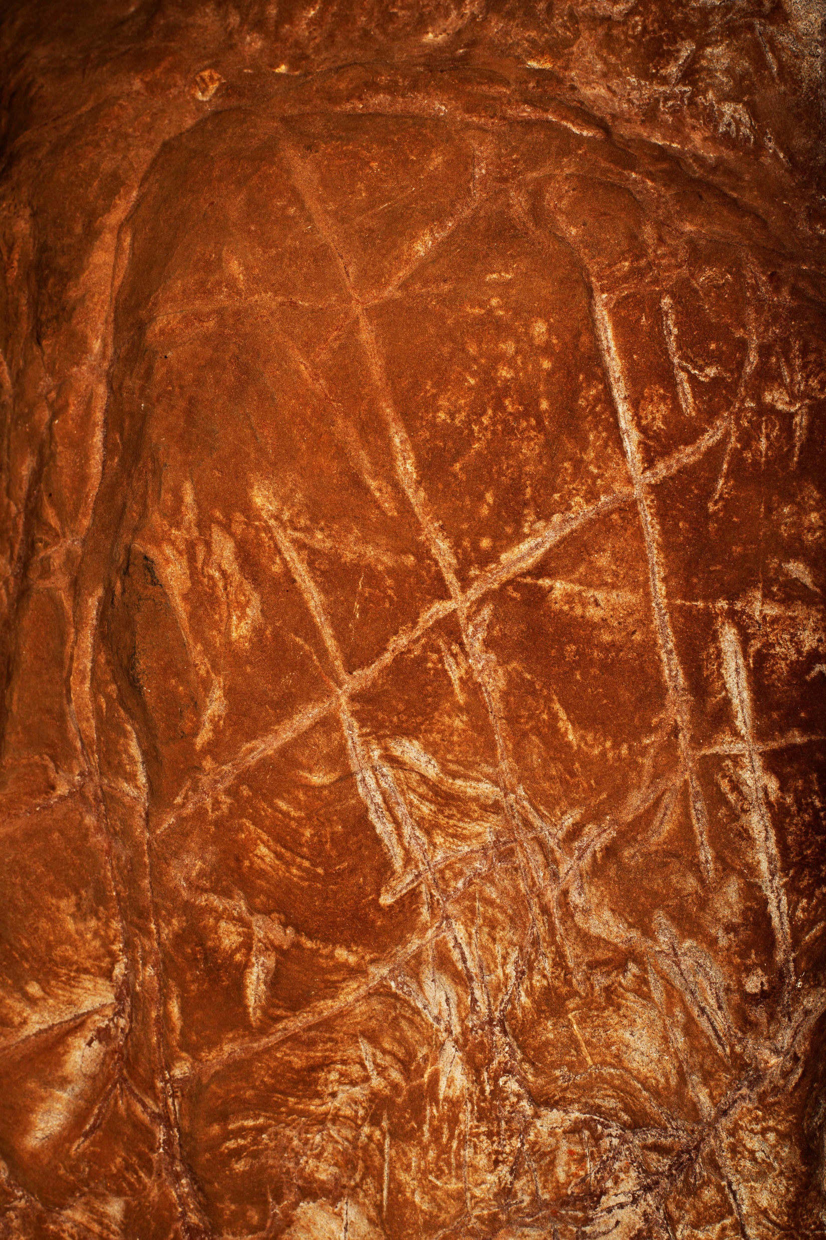 Engravings on cave walls in Rising Star.