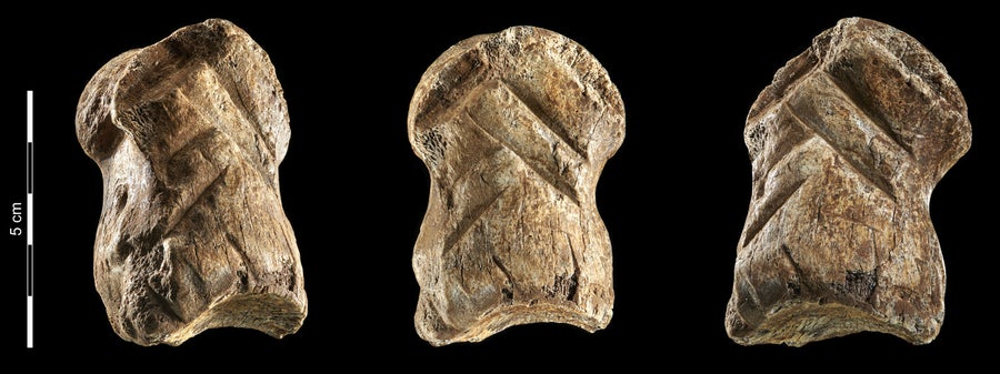 Photo of Could Neanderthals Make Art? | Scientific American