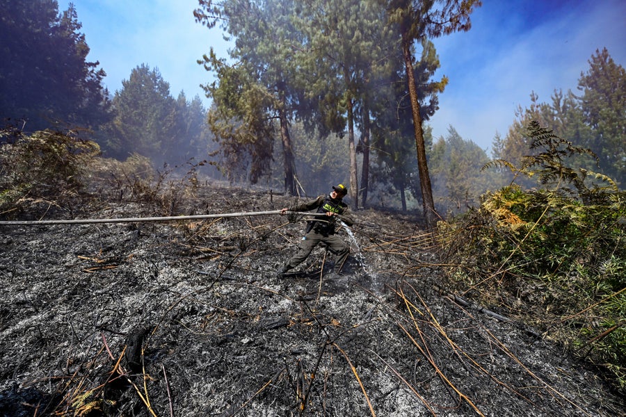 A police officer combats a forest fire 