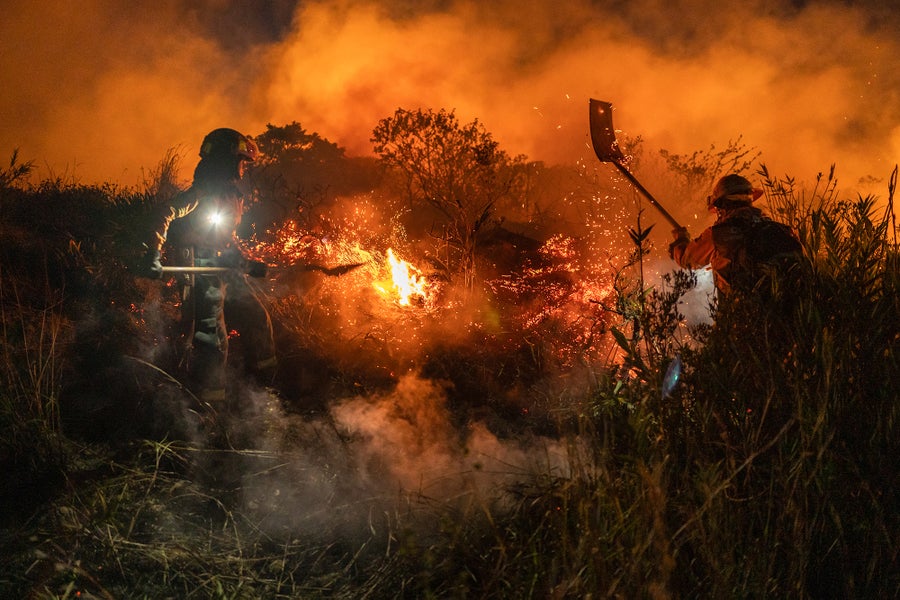 Rescuers help to extinguish a forest fire 