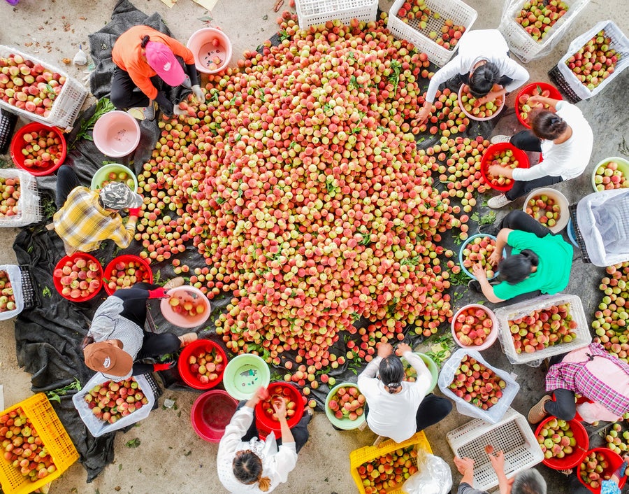 A large pile of peaches and people surrounding them.