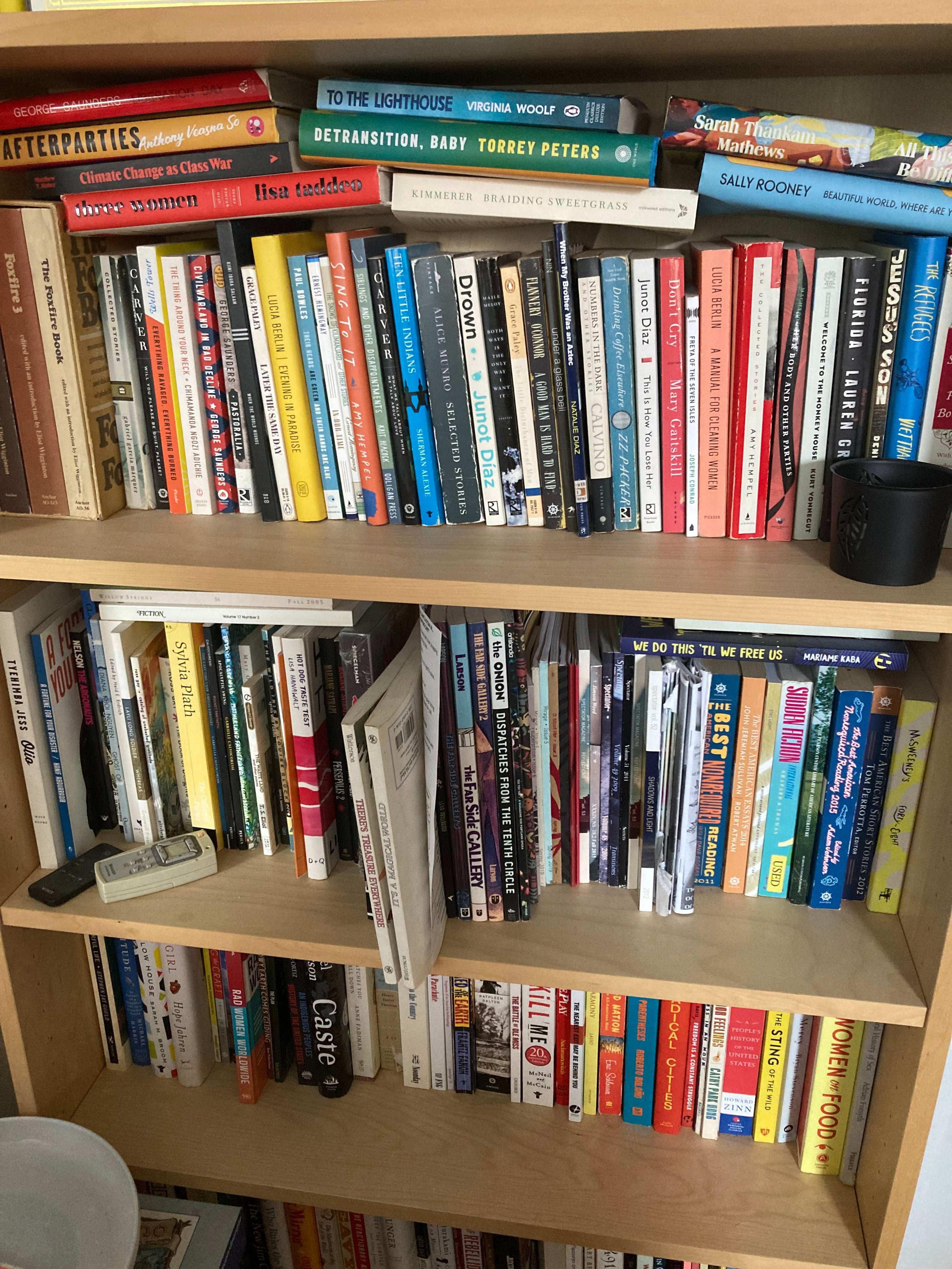 Image of a bookshelf.