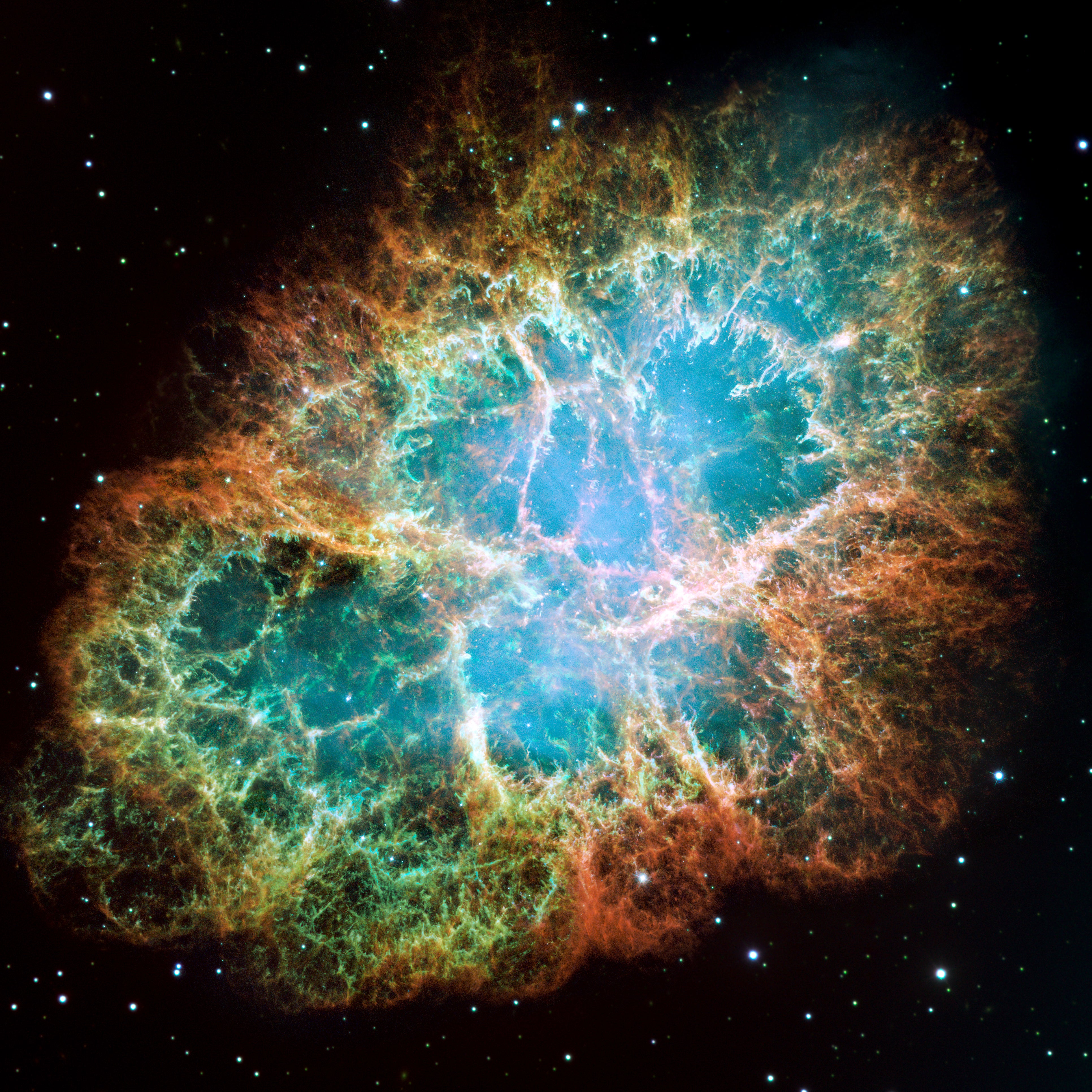 The crab nebula