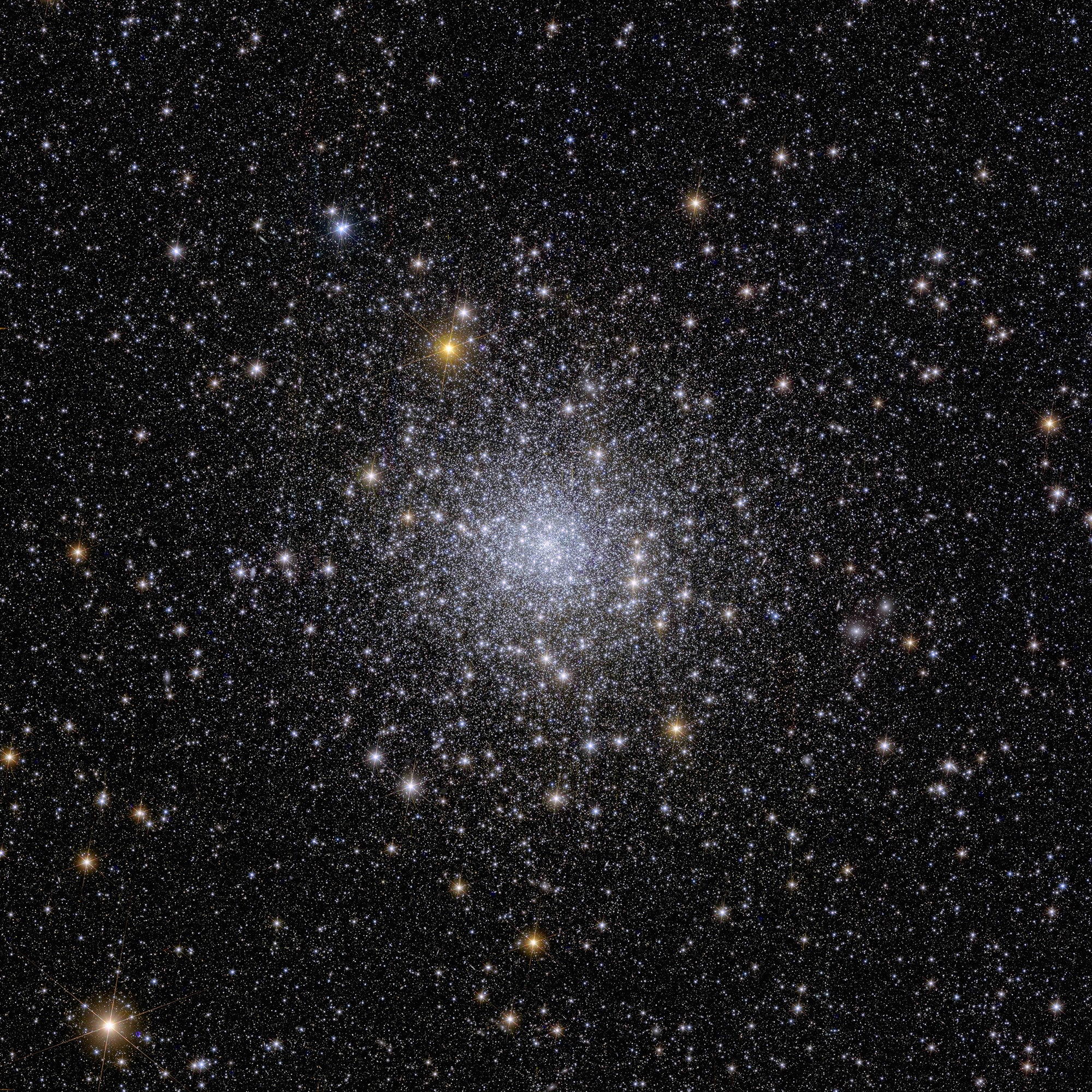 Globular cluster NGC 6397 seen from Euclid 