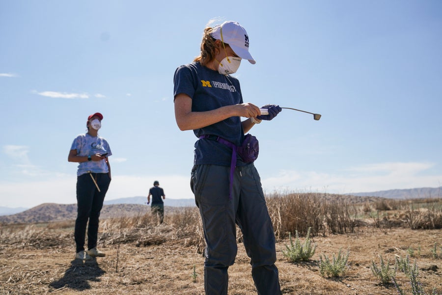  Researchers surveying for Coccidioides collect samples from rodent holes in the Carrizo Plain National Monument in Santa Margarita, California.