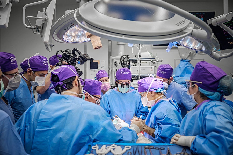 Transplant procedure in the operating room