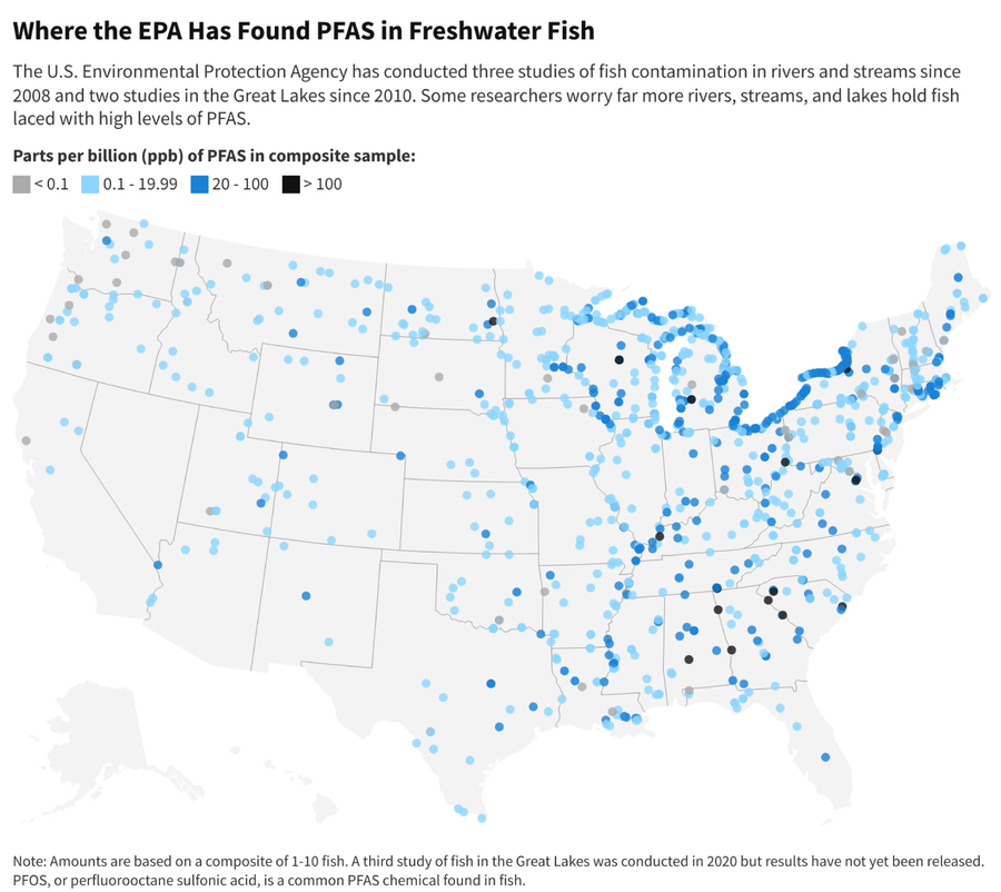 U.S. map highlights locations where the EPA has found PFAS in freshwater fish.