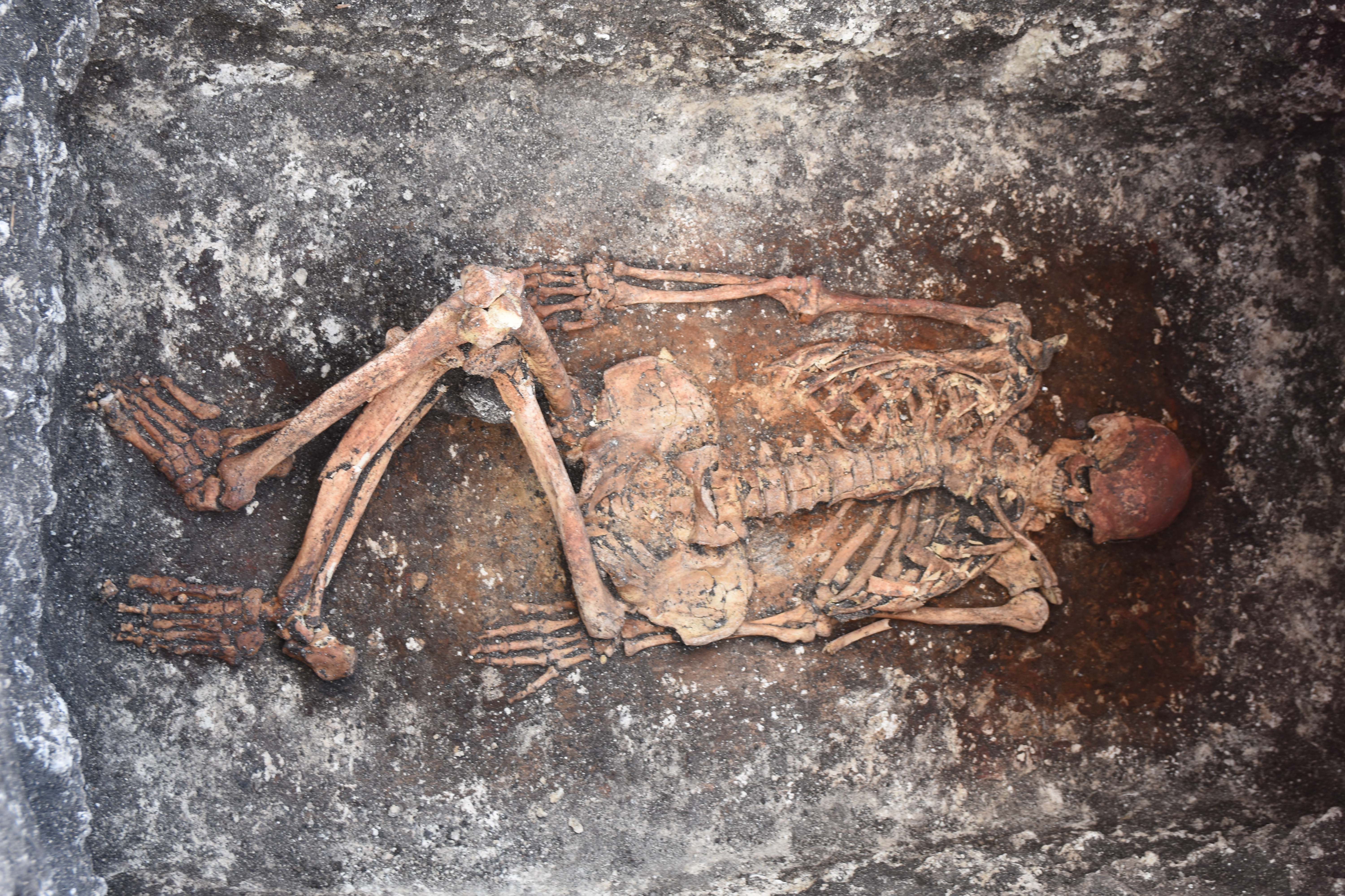 Detail of the horse rider discovered in Malomirovo, Bulgaria. He displays the typical burial custom of the Yamnaya. The radiocarbon date puts him into the 30th century BC.