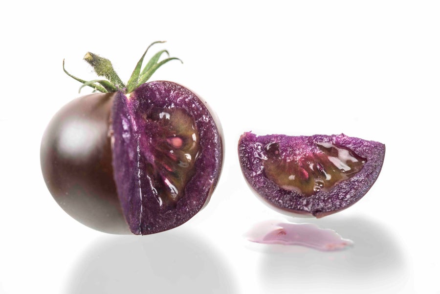 Purple tomatoes 