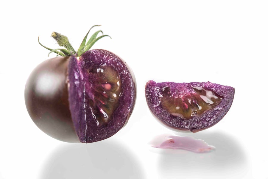 The purple tomato 