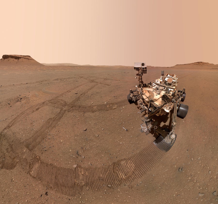Selfied captured by the Perseverance rover 
