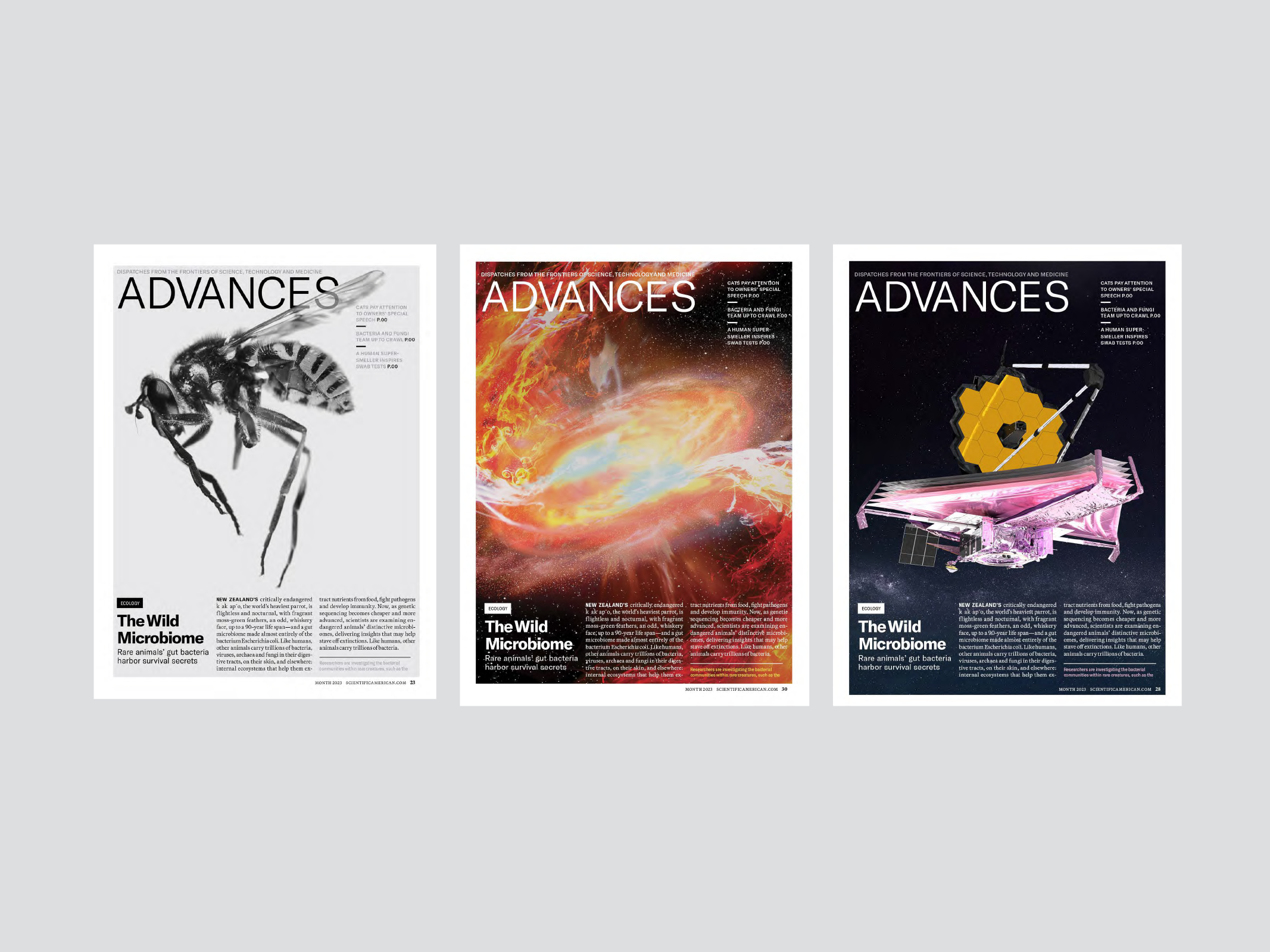Three Advances article pages.